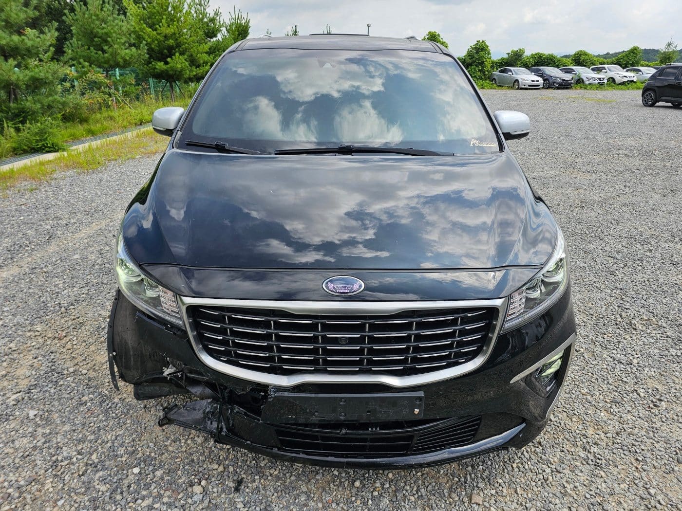 2020 Kia The New Carnival Gasoline (S/N: 666424) 2