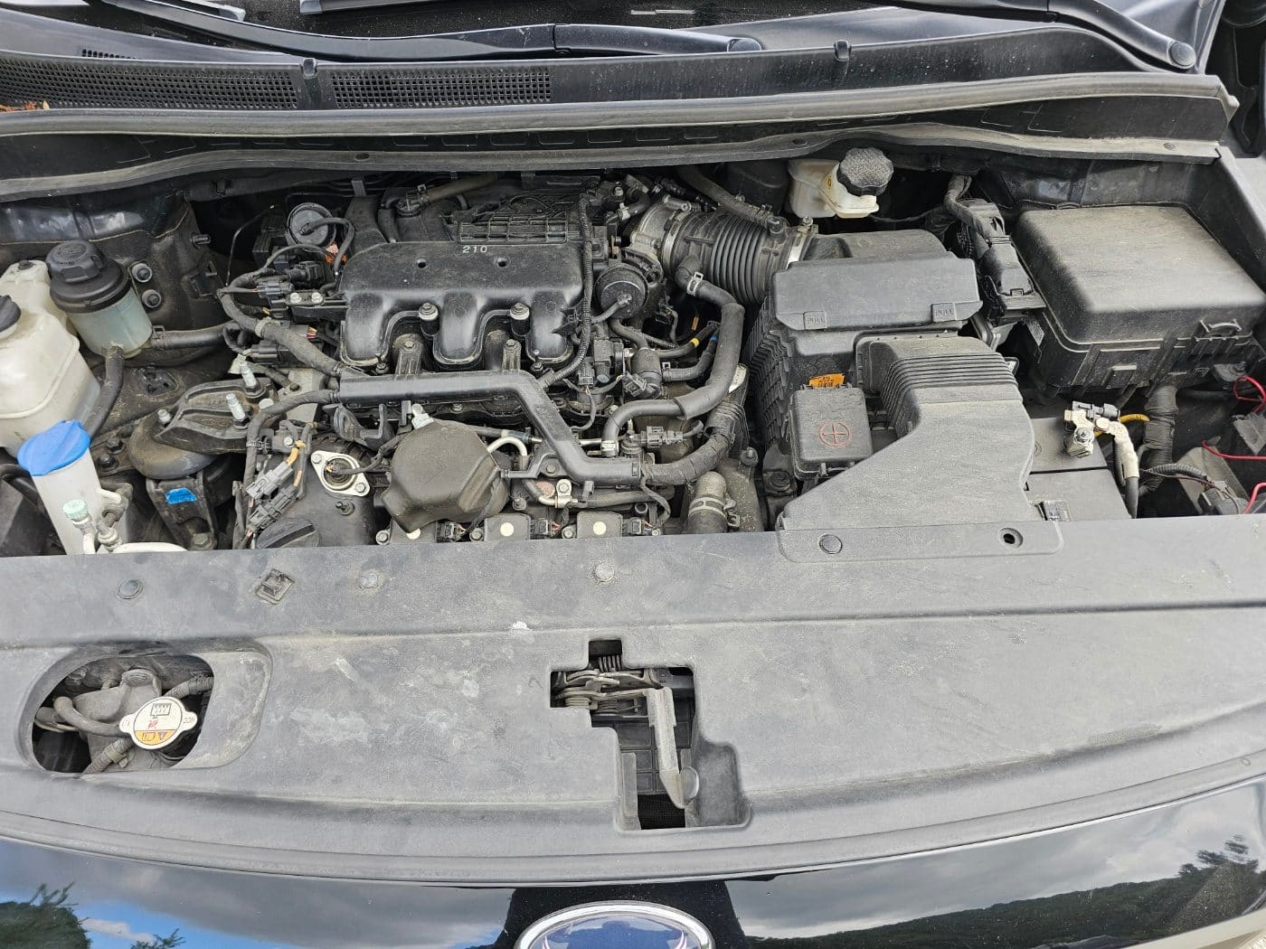 2020 Kia The New Carnival Gasoline (S/N: 666424) 28