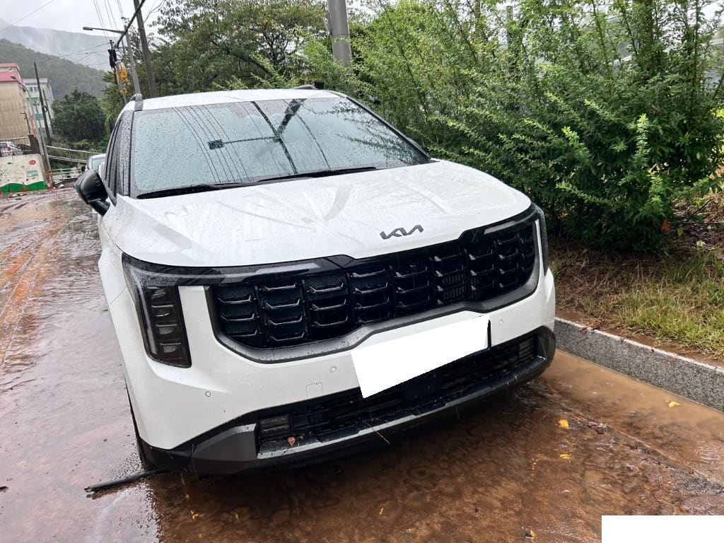 2026 Kia The New Carnival Hybrid (207209) pre-producted
