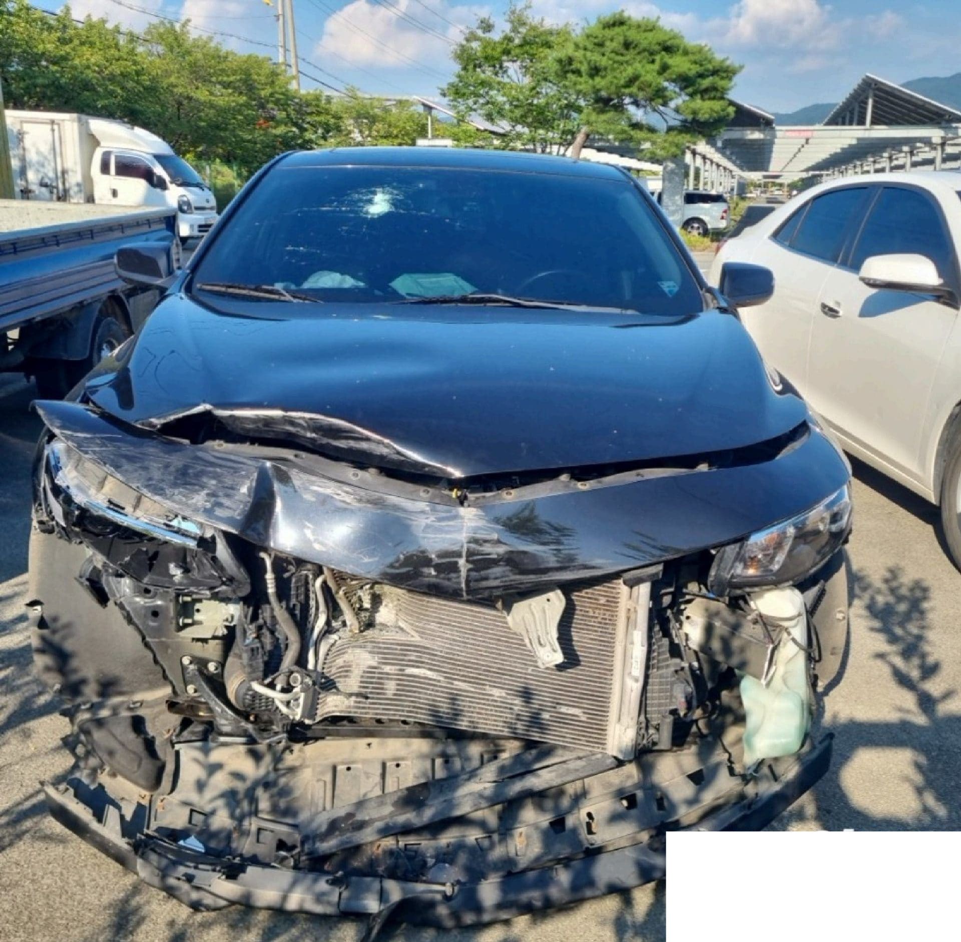 2017 Chevrolet All-New Malibu 1.5 Turbo (739636) pre-producted 4