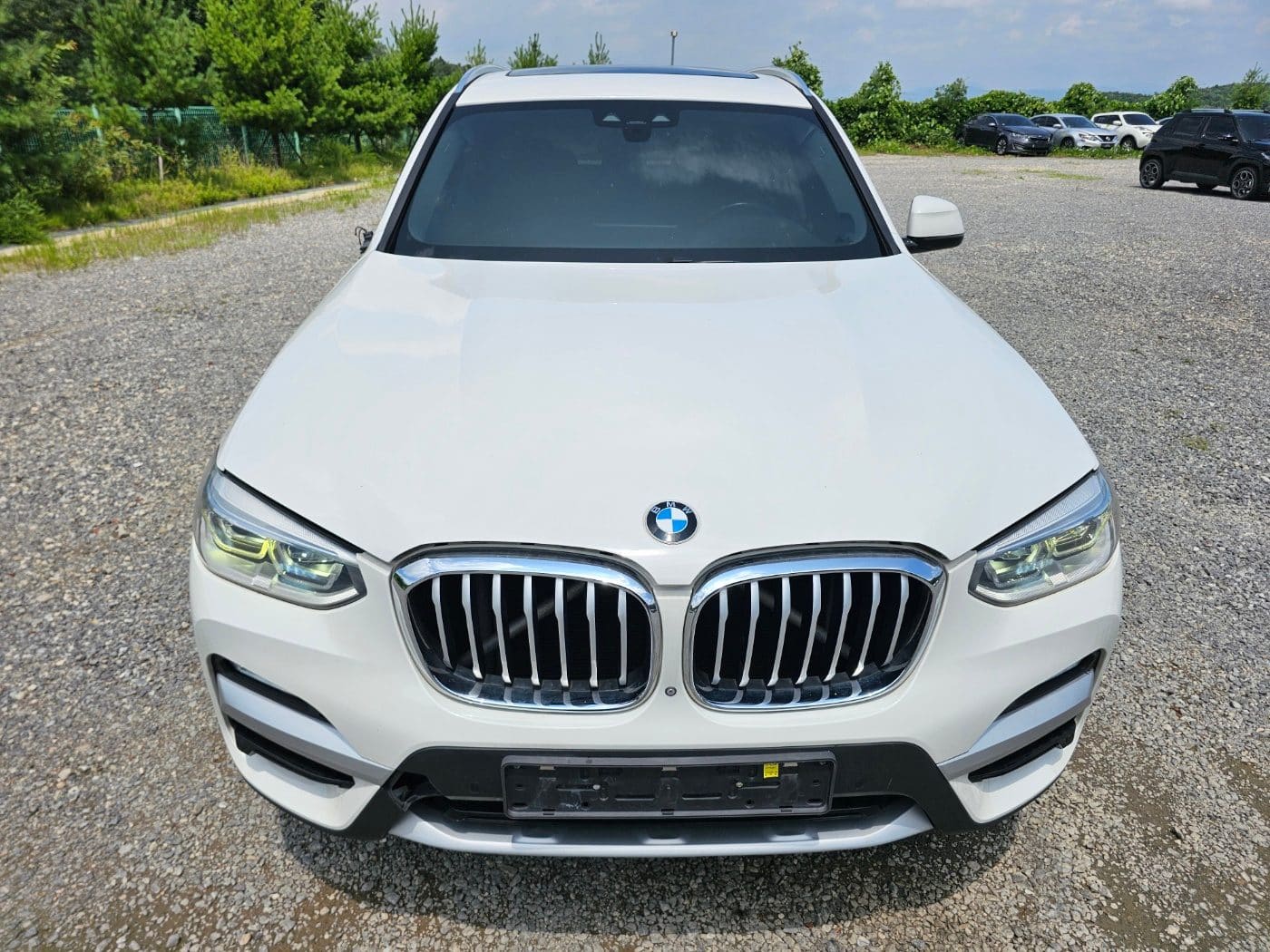 2018 BMW X3 (G01) xDrive 20d (S/N: B96244) 2
