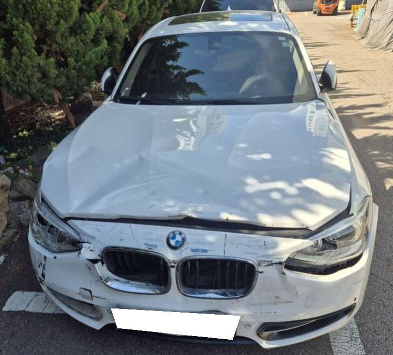 2013 BMW 1 Series (F20) 120d Sport (532739) pre-producted 1