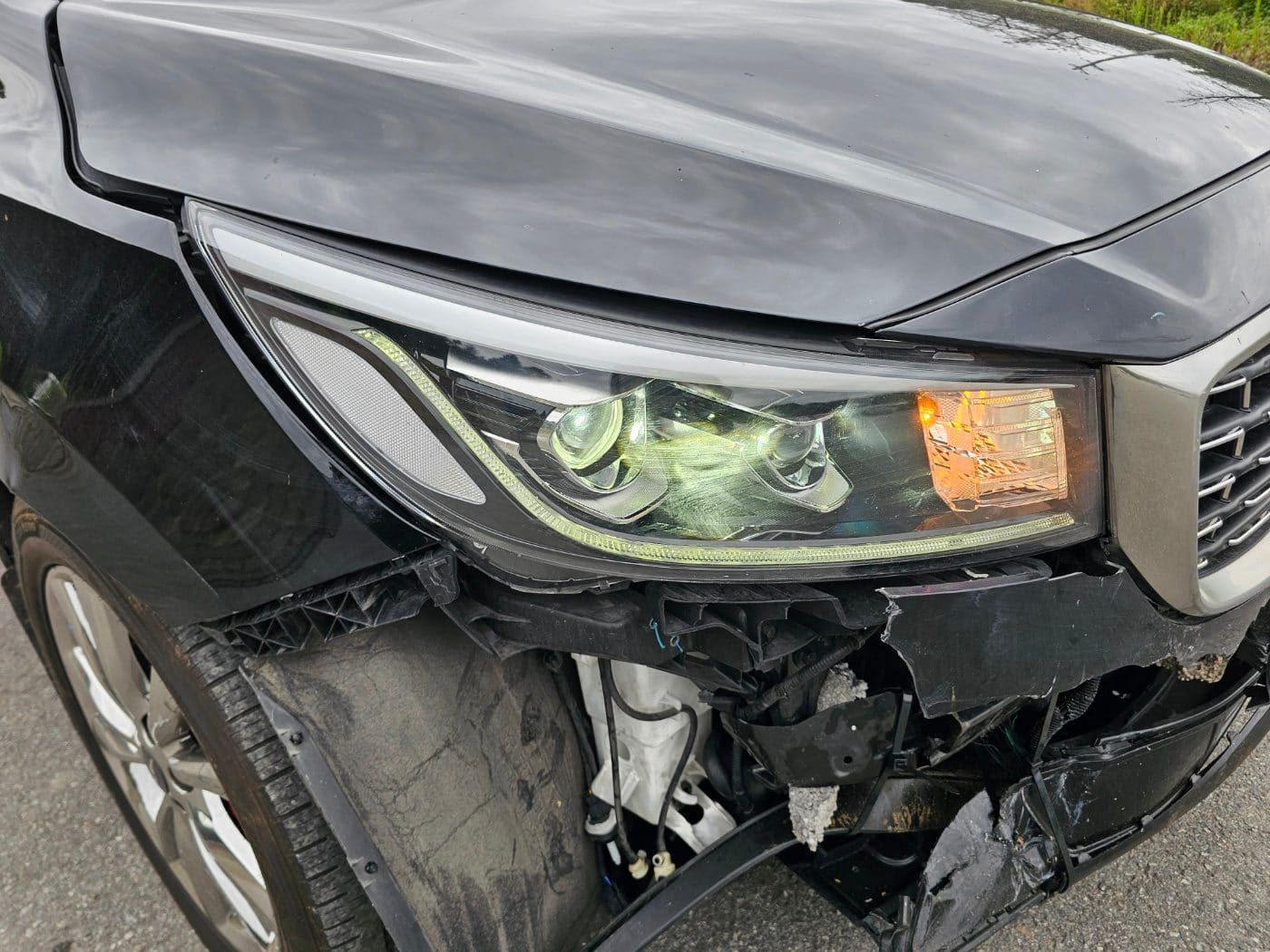 2020 Kia The New Carnival Gasoline (S/N: 666424) 7