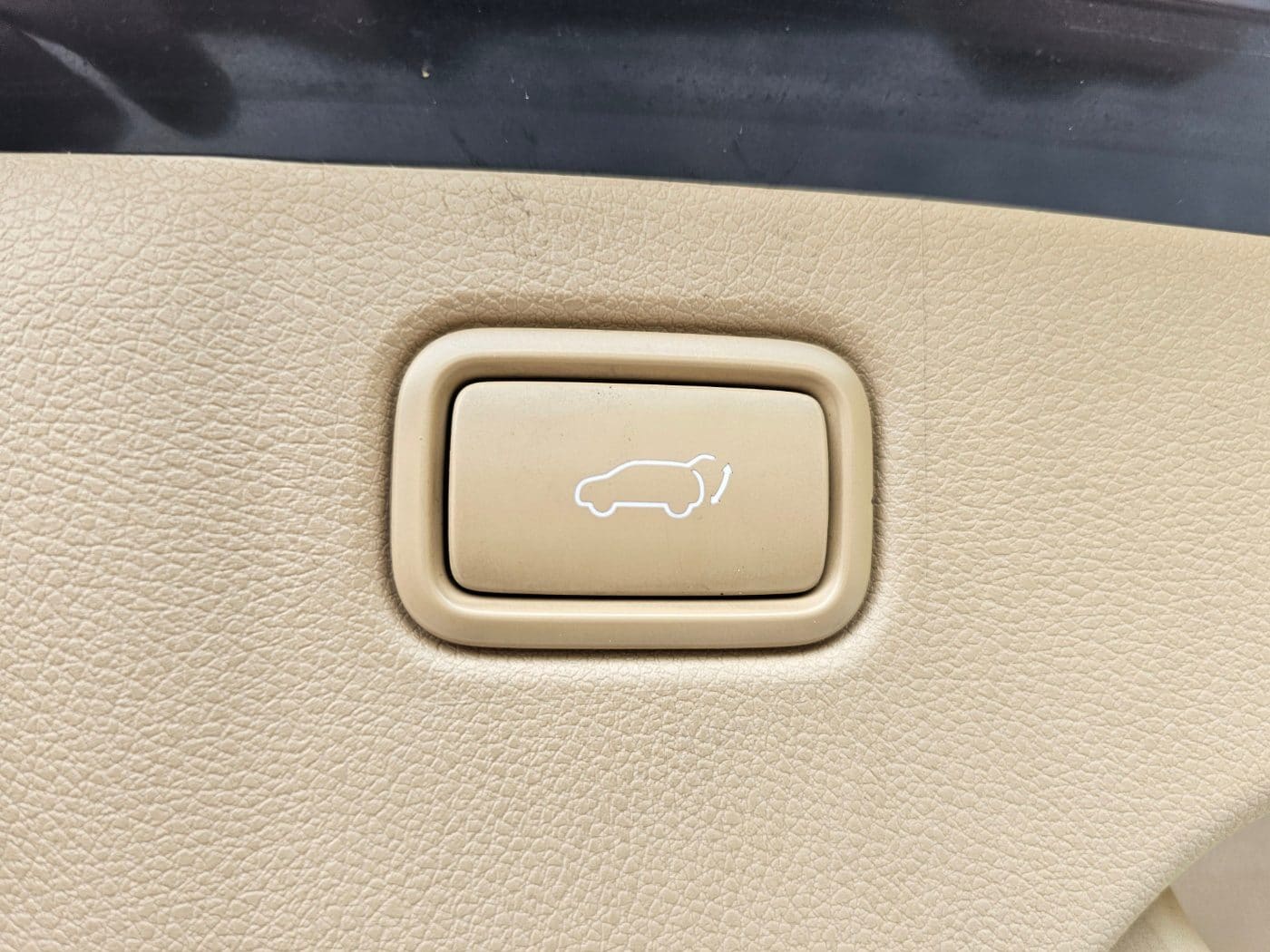 2020 Kia The New Carnival Gasoline (S/N: 666424) 19