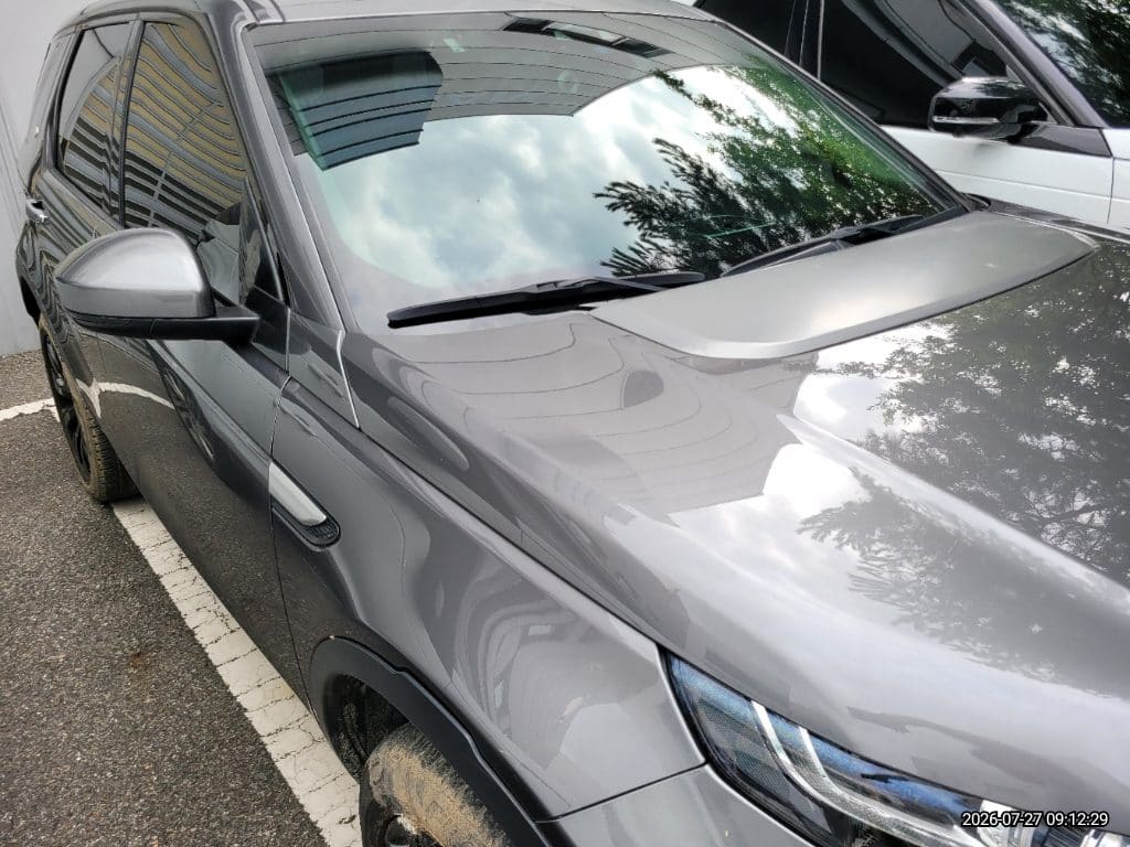 2019 Land Rover Discovery Sport 2.0 TD4 SE (793643) pre-producted 2