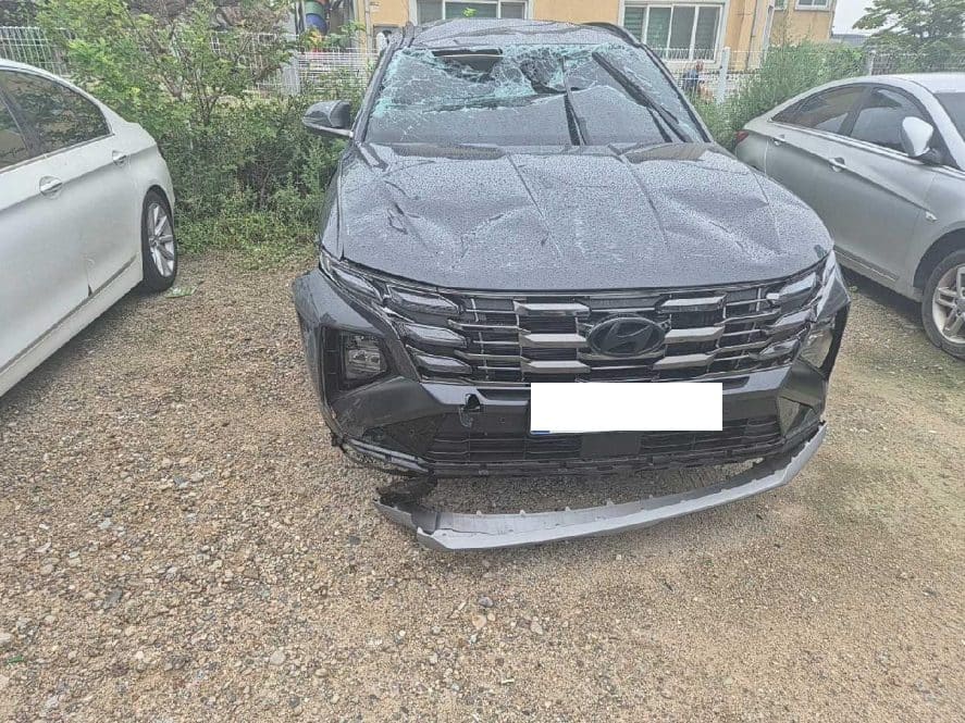 2026 Hyundai The New Tucson Hybrid (S/N: 484448) [RB Auction]