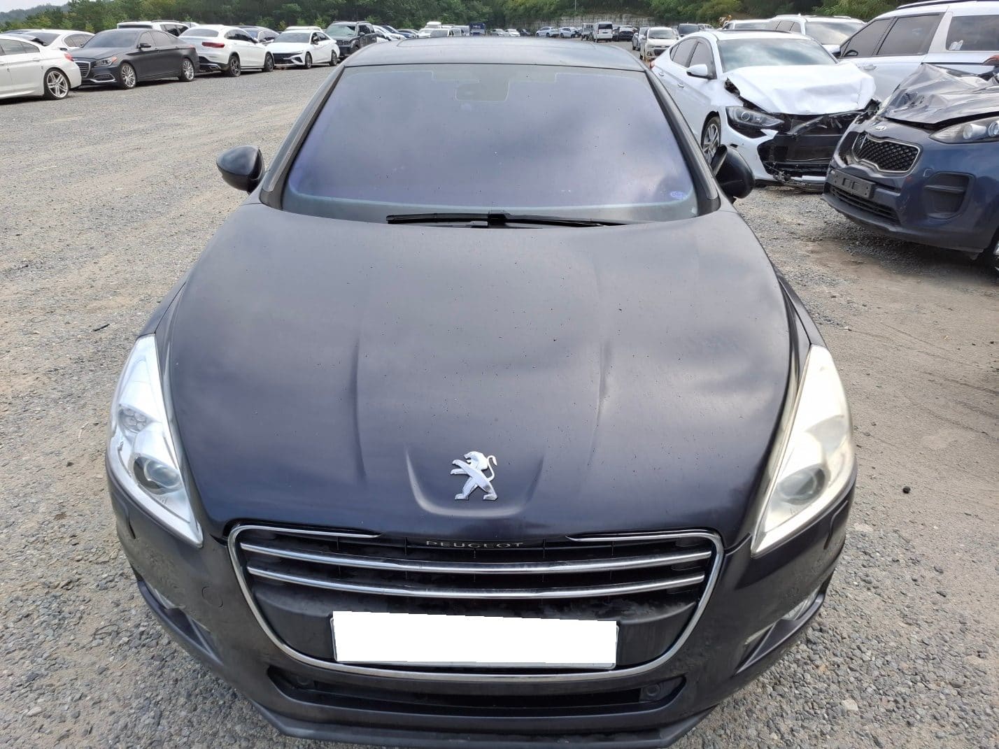 2014 Peugeot 508 2.0 (008753) pre-producted 1