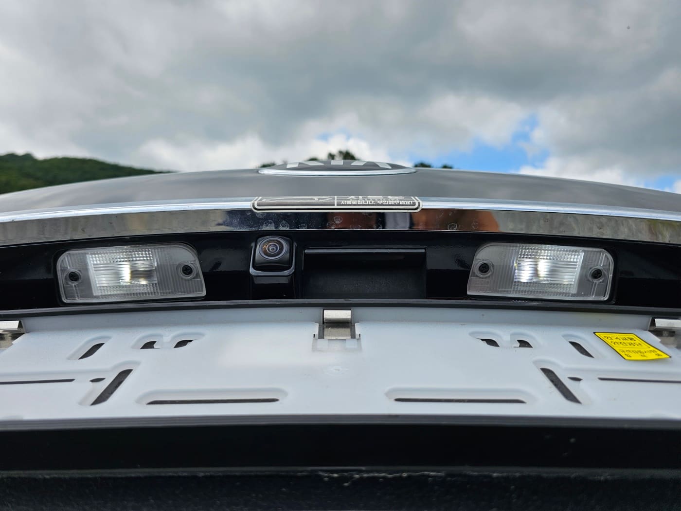 2020 Kia The New Carnival Gasoline (S/N: 666424) 20