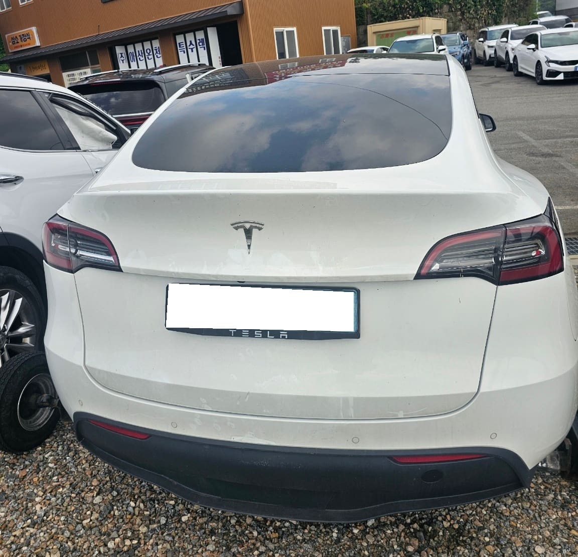 2021 Tesla  Model Y Standard Range (172417) pre-producted