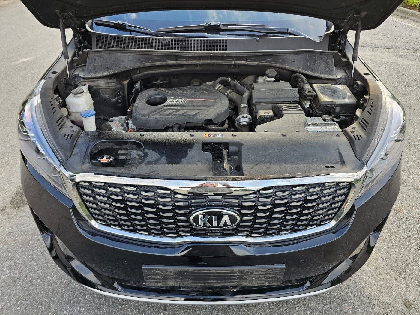 2018 Kia The New Sorento Gasoline 2.0 (S/N: 393542) 23