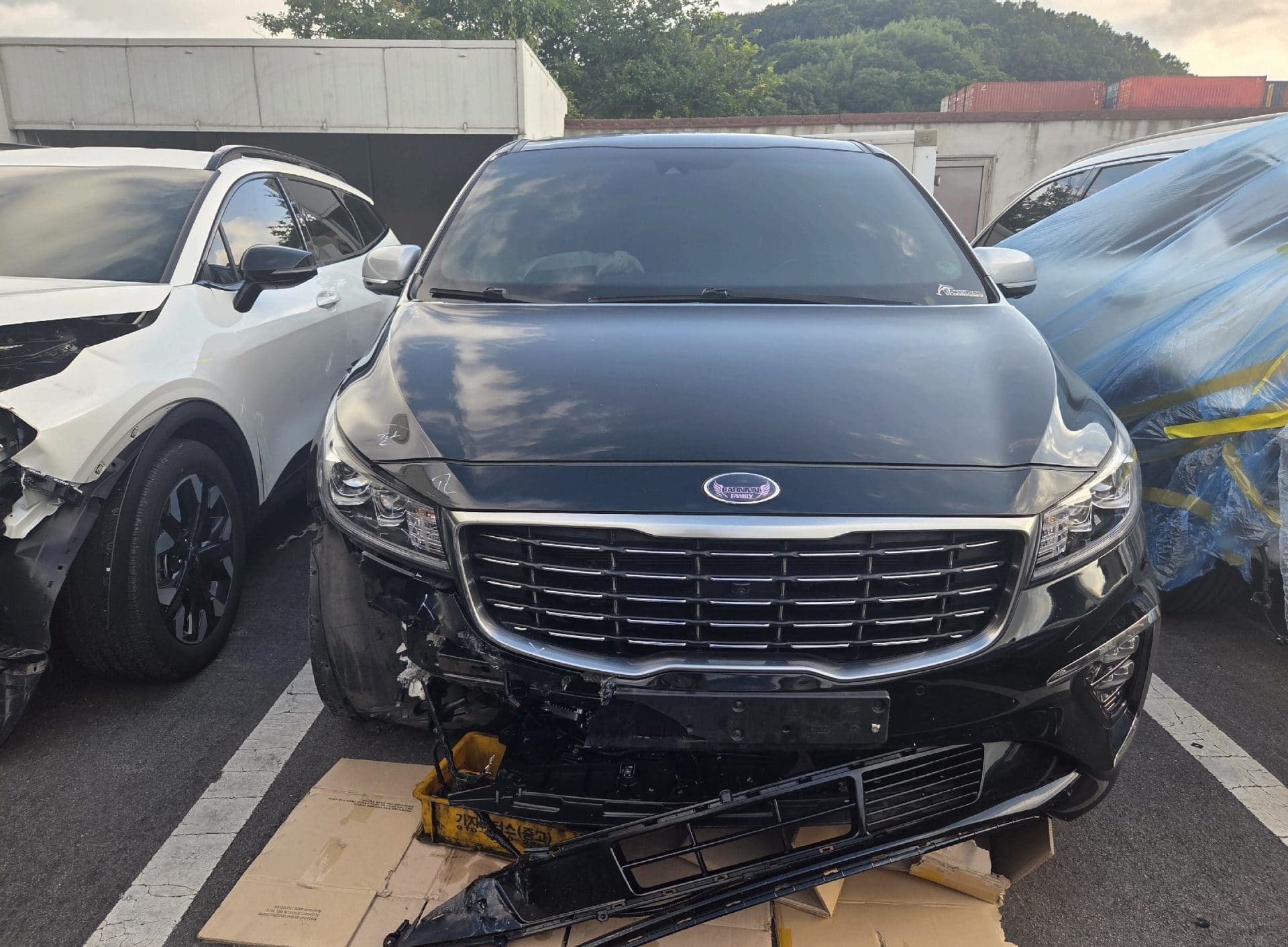 2020 Kia The New Carnival Gasoline (666424) pre-producted