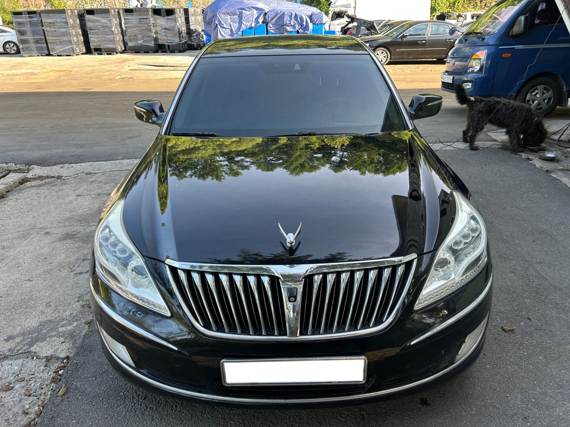2015 Hyundai Equus VS500 (S/N: 090613) 2