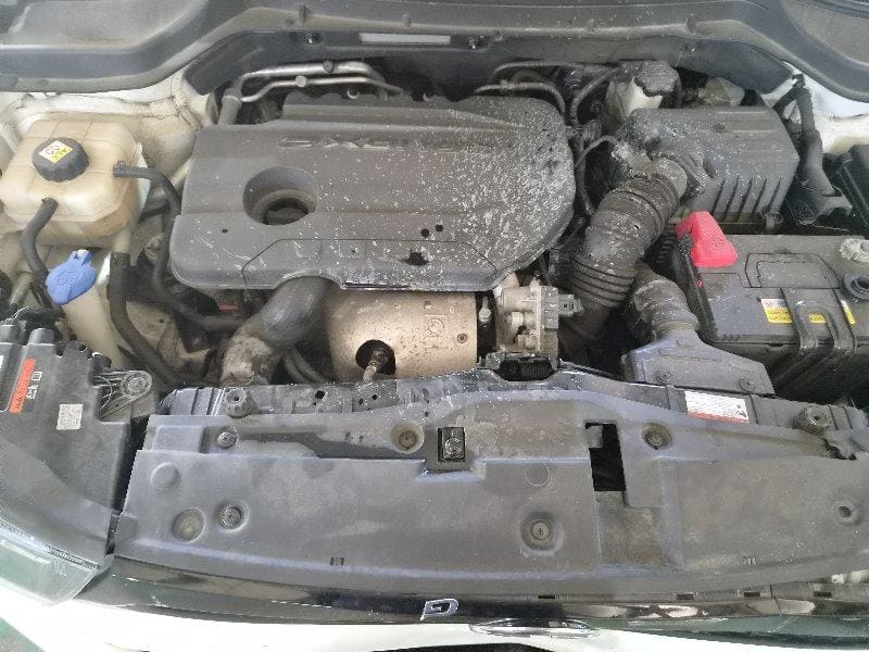 2019 KGM Tivoli Armor 2WD (279663) pre-producted 15