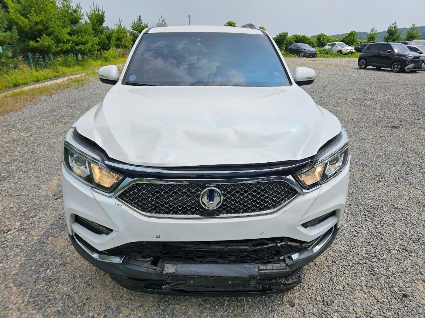 2019 SsangYong G4 Rexton Diesel 2.2 2WD 2