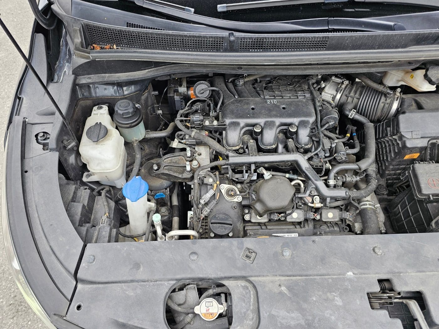 2020 Kia The New Carnival Gasoline (S/N: 666424) 27