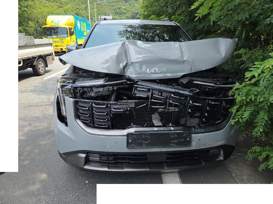 2025 Kia The New Carnival Hybrid (S/N: 056586) [RB Auction]