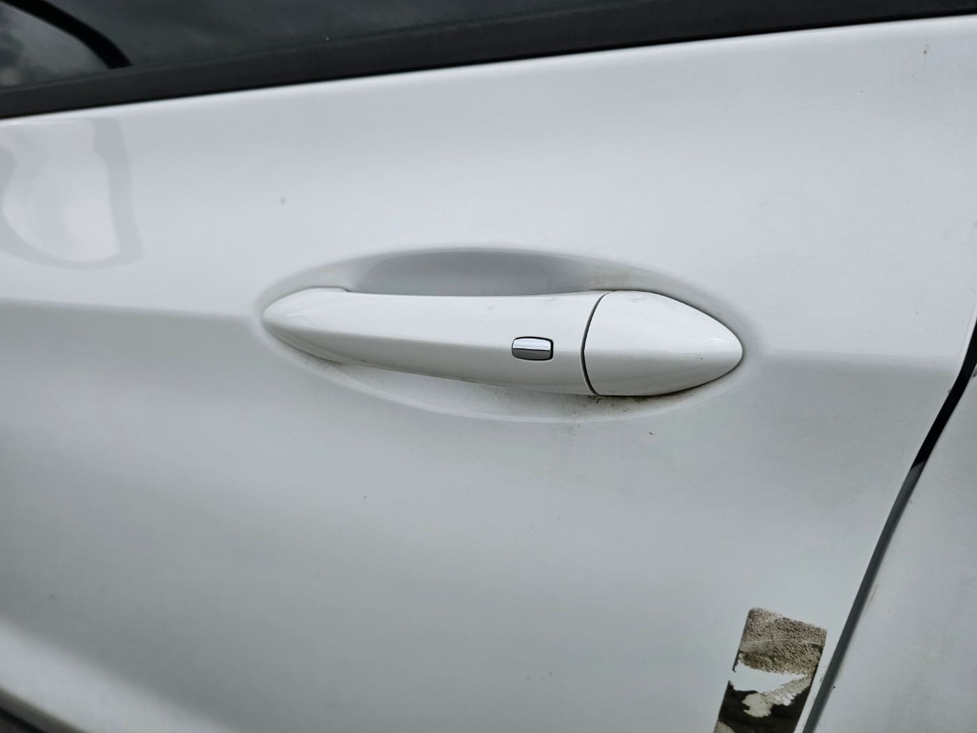 2019 Chevrolet Bolt EV LT Deluxe (S/N: 127266) 16