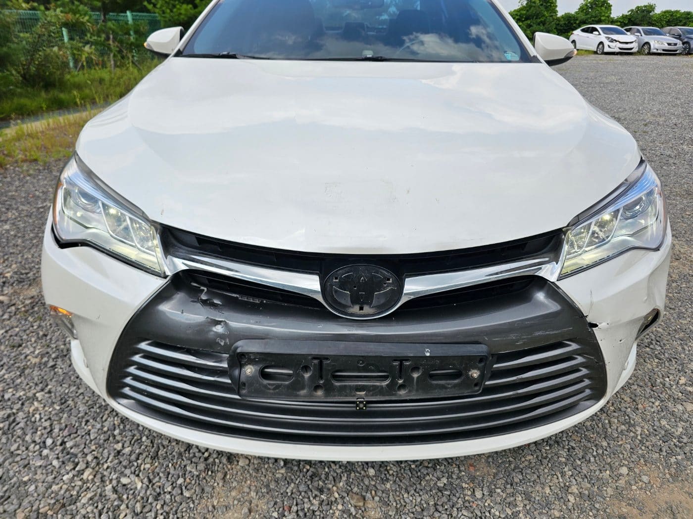 2016 Toyota New Camry Hybrid XLE (S/N: 186463) 51