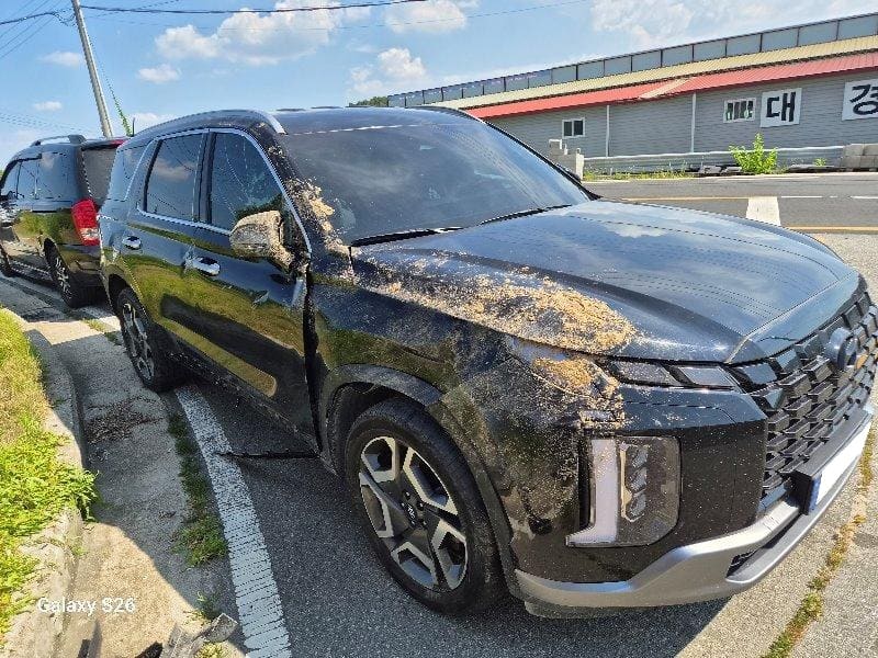 2023 Hyundai The New Palisade Gasoline 3.8 4WD (581522) pre-producted 2
