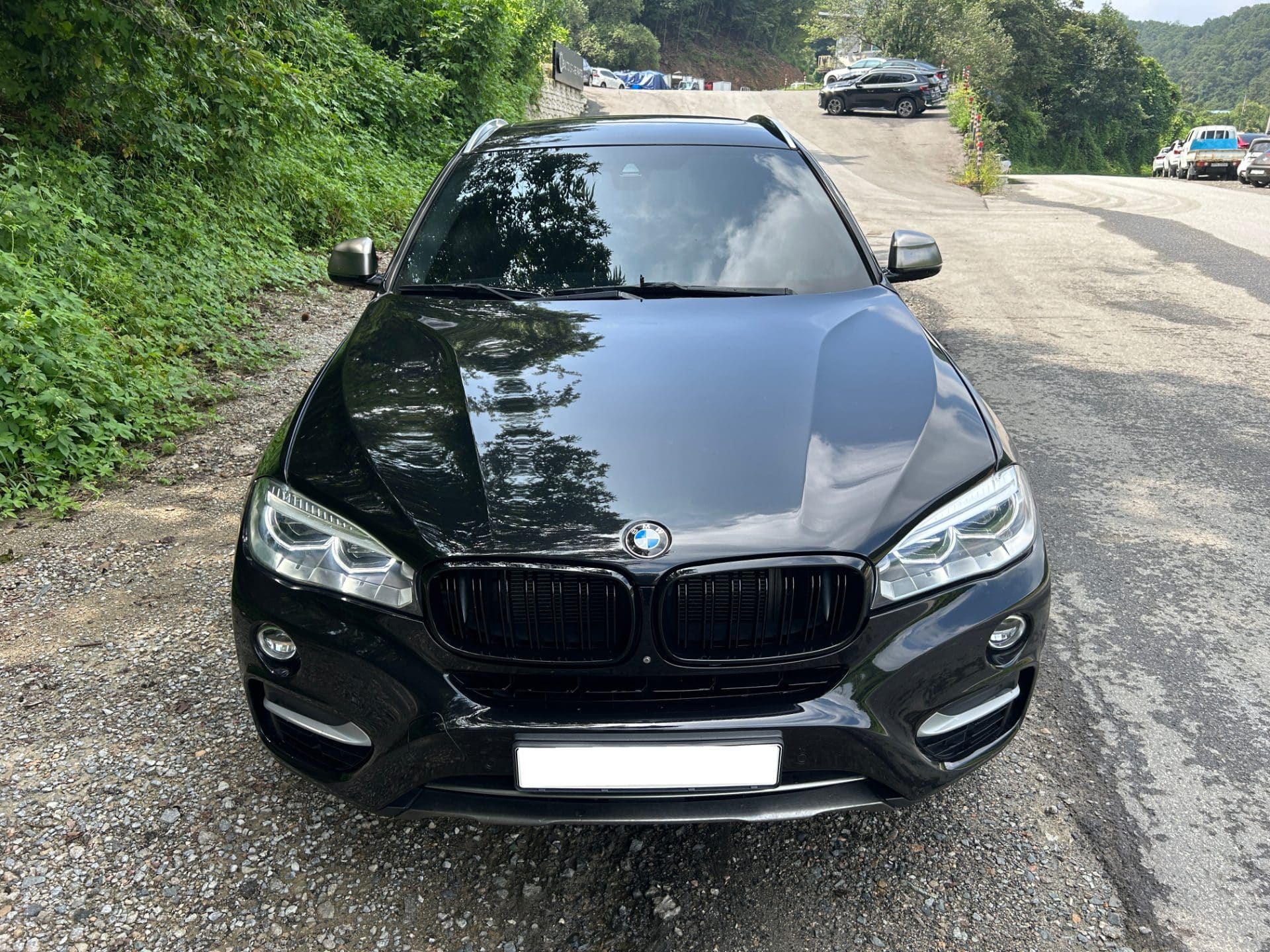 2017 BMW X6 (F16) xDrive 40d (S/N: U06624) 2