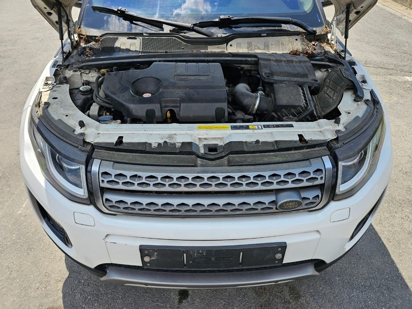2018 Land Rover Range Rover Evoque 2.0 D SE (S/N: 272469) 22