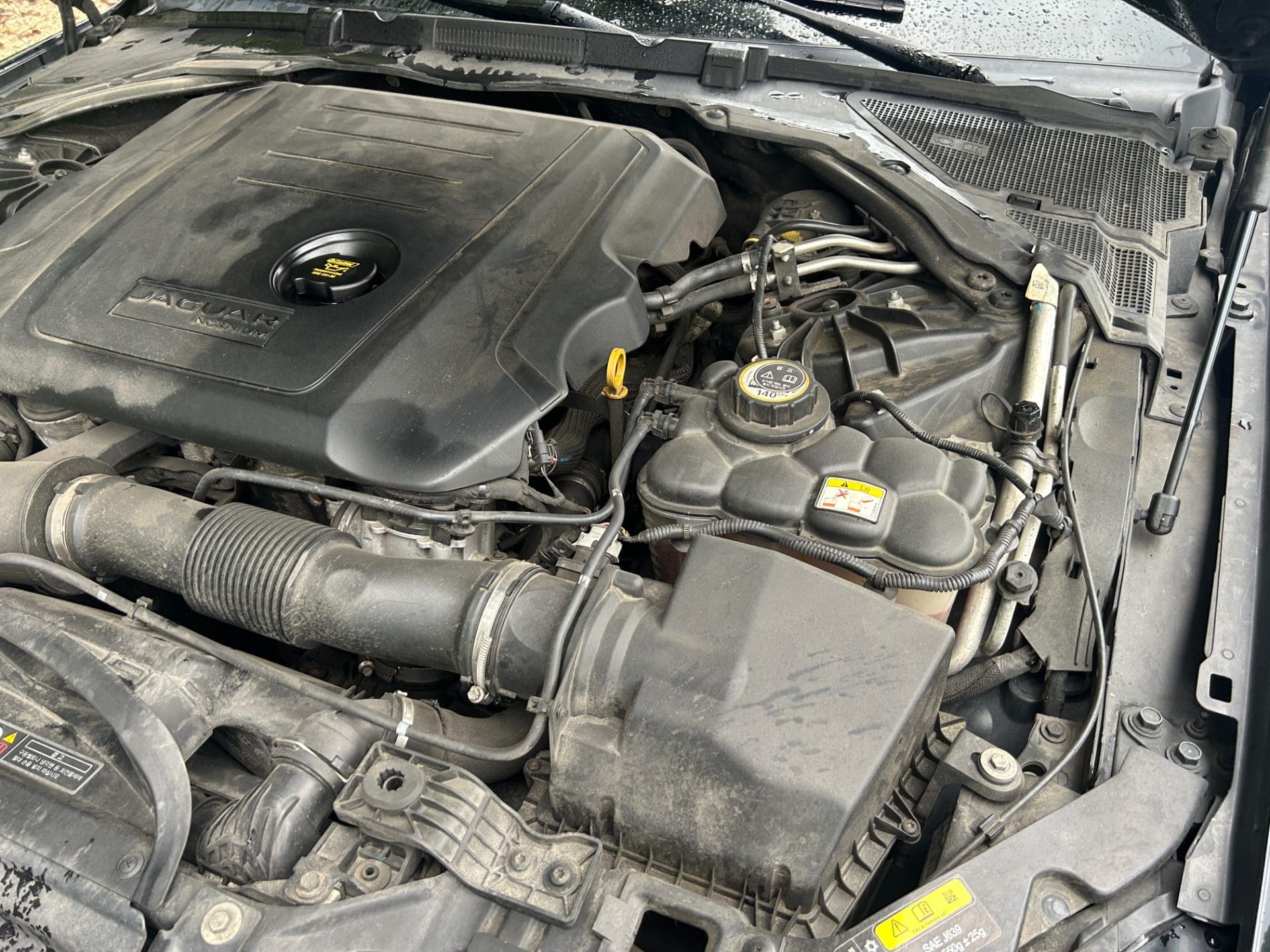 2018 Jaguar XE 2.0D (S/N: P24131) 22