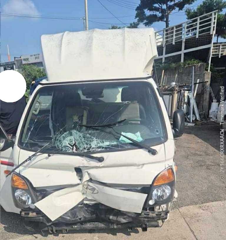 2019 Hyundai Porter 2 Super Cab (CRDi) (669118) pre-producted 4