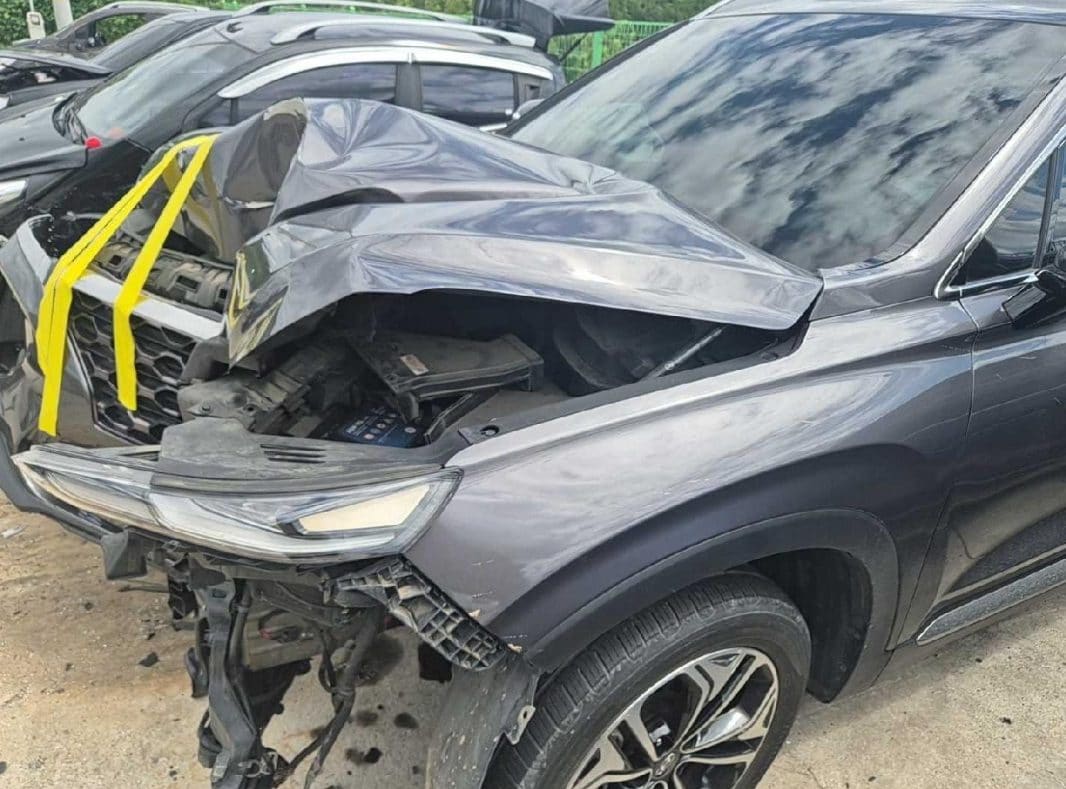 2019 Hyundai Santa Fe TM Diesel 2.0 2WD (101927) pre-producted 4