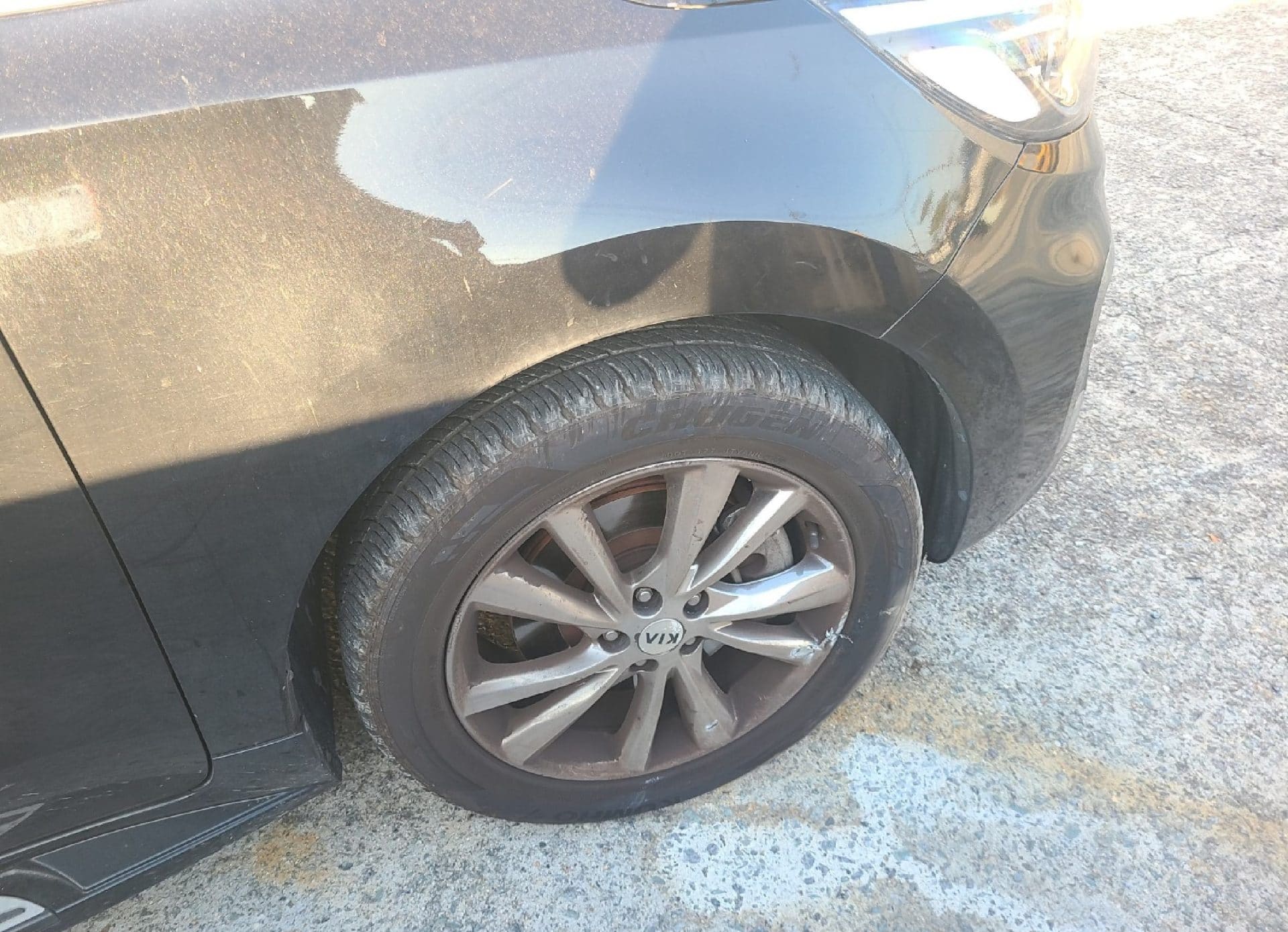 2019 Kia The New Carnival (493916) pre-producted 5