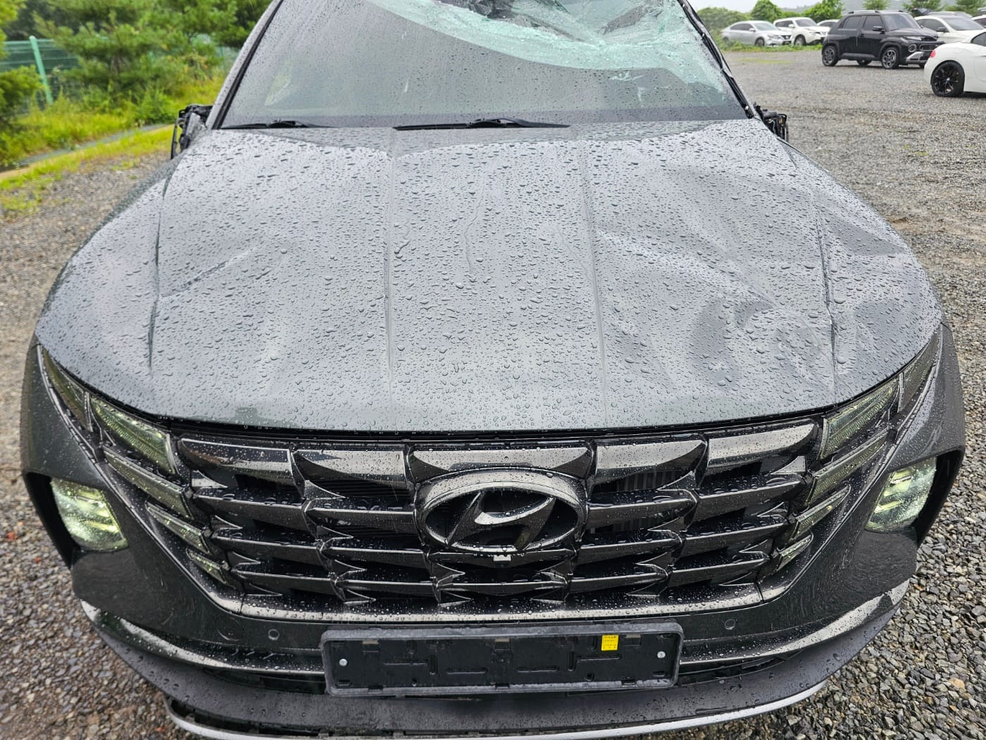 2021 Hyundai Tucson (NX4) Gasoline 1.6 Turbo 4WD (S/N: 070043) 50