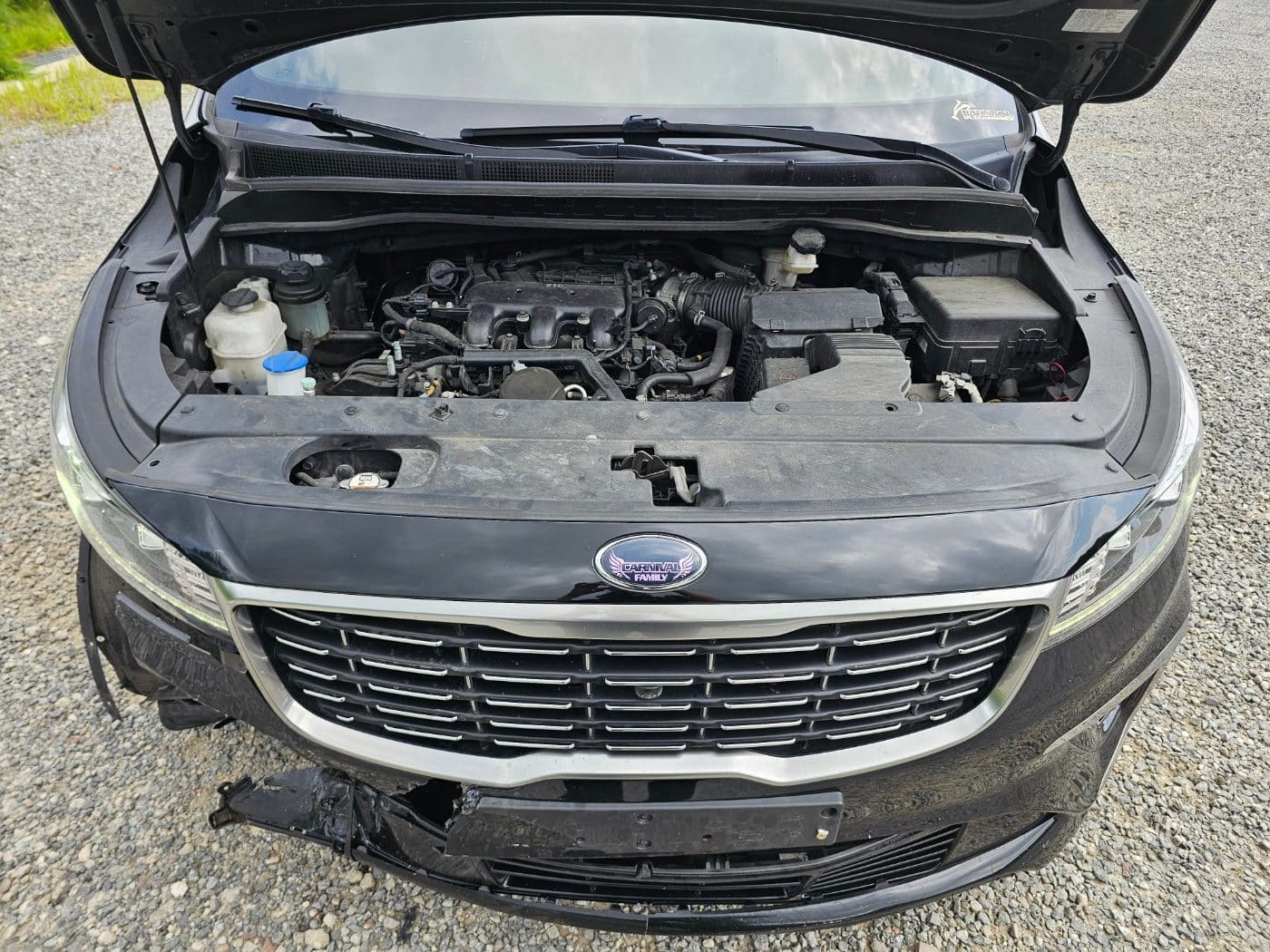 2020 Kia The New Carnival Gasoline (S/N: 666424) 30