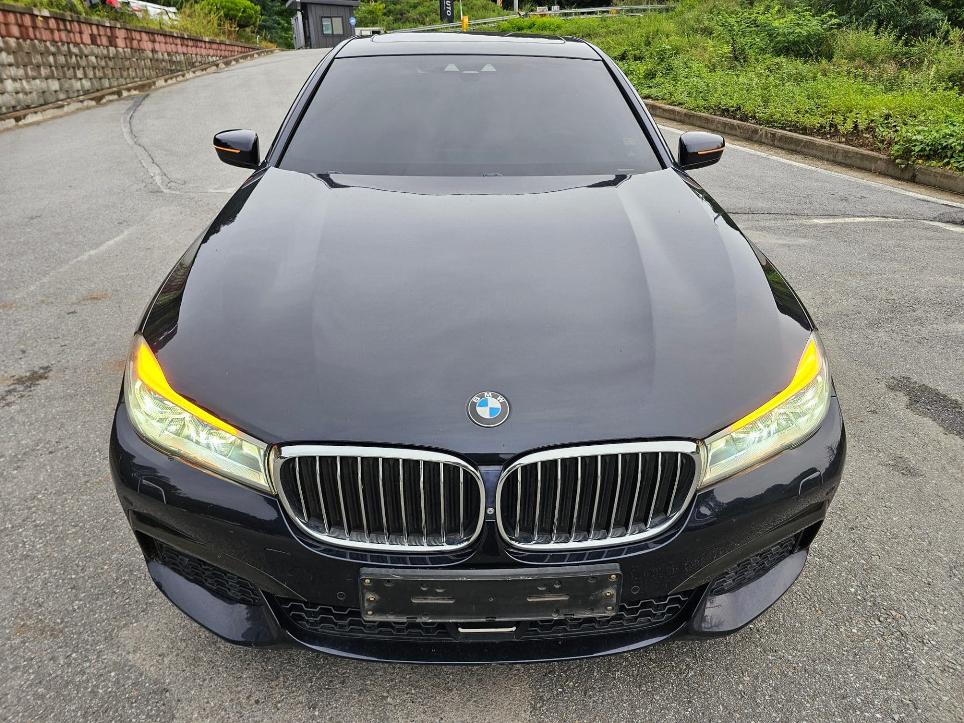 2018 BMW 7 Series (G11) 740d xDrive M Sport (S/N: 074042) 2