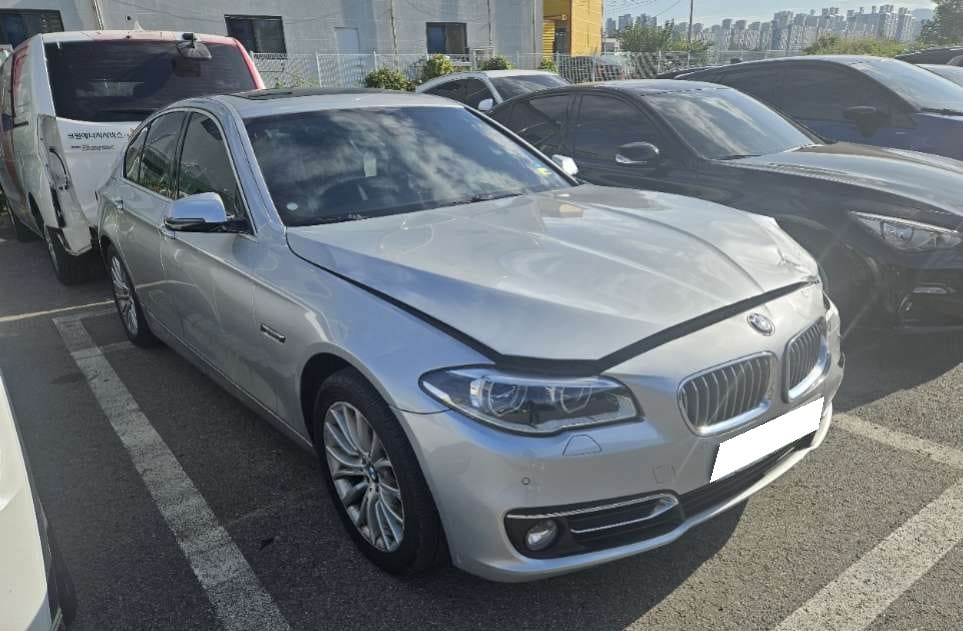 2014 BMW 5 Series (F10) 520d xDrive (028871) pre-producted