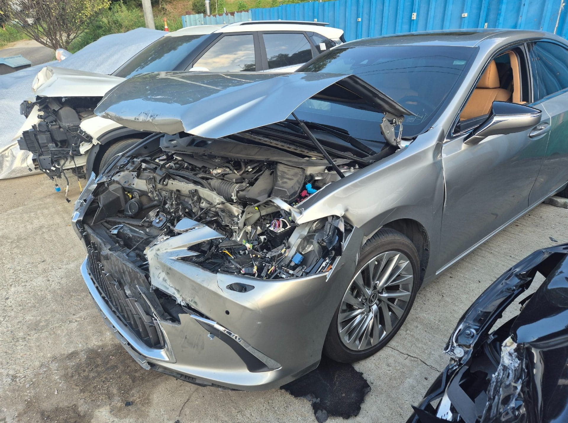 2023 Lexus ES300h (7th Gen) (S/N: 018825) [RB Auction]