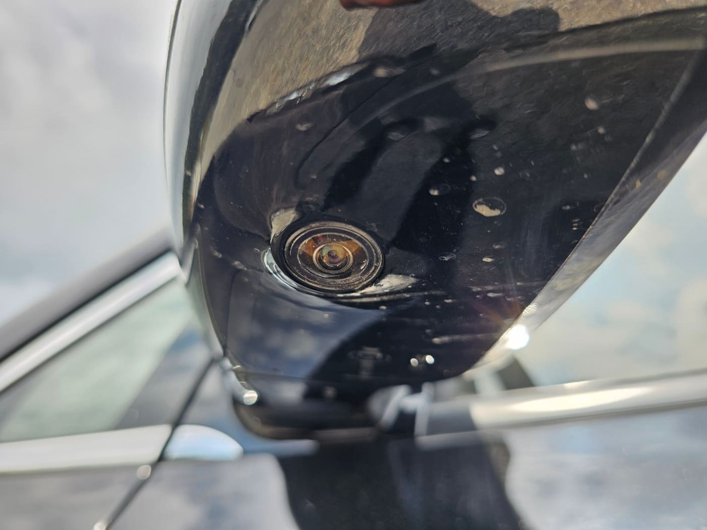 2020 Kia The New Carnival Gasoline (S/N: 666424) 11