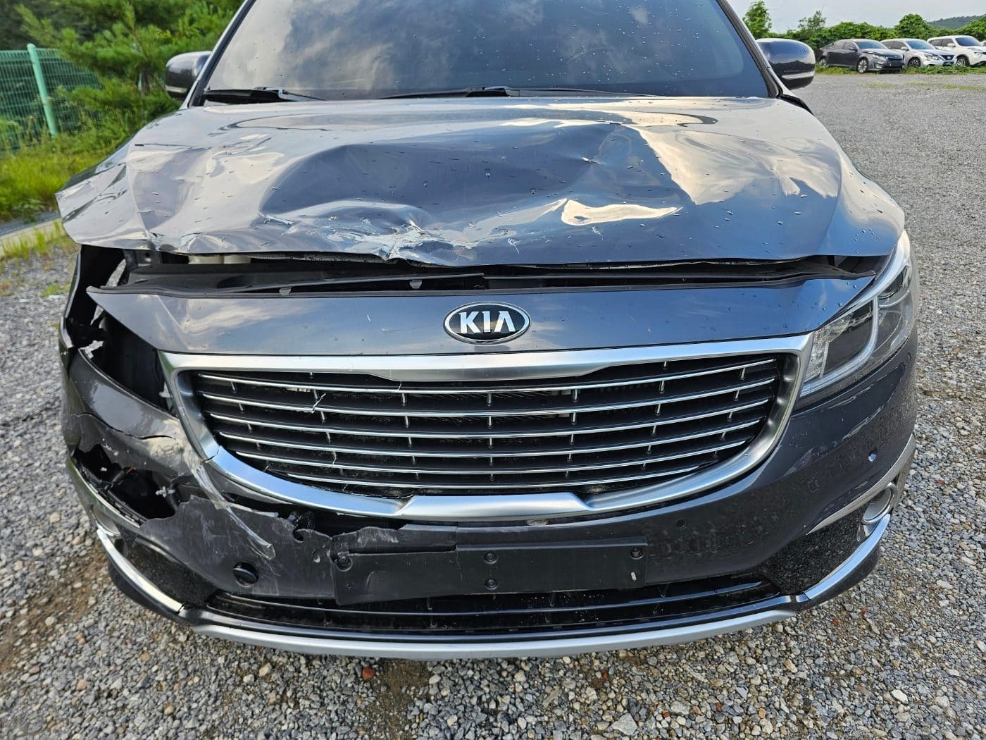 2016 Kia All New Carnival Diesel Limousine (S/N: 092376) 50