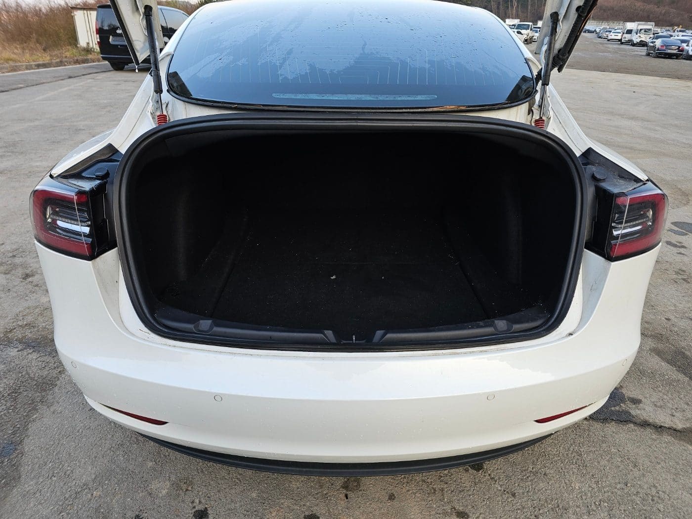 2020 Tesla Model 3 Long Range (S/N: 809042) 13