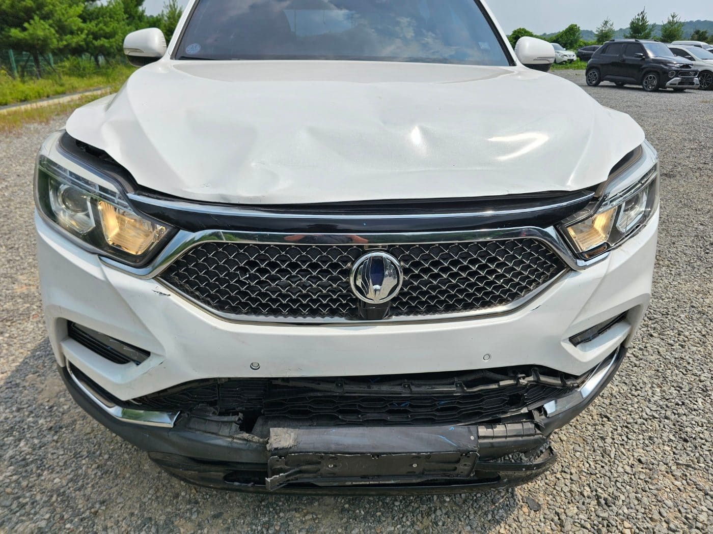 2019 SsangYong G4 Rexton Diesel 2.2 2WD 48