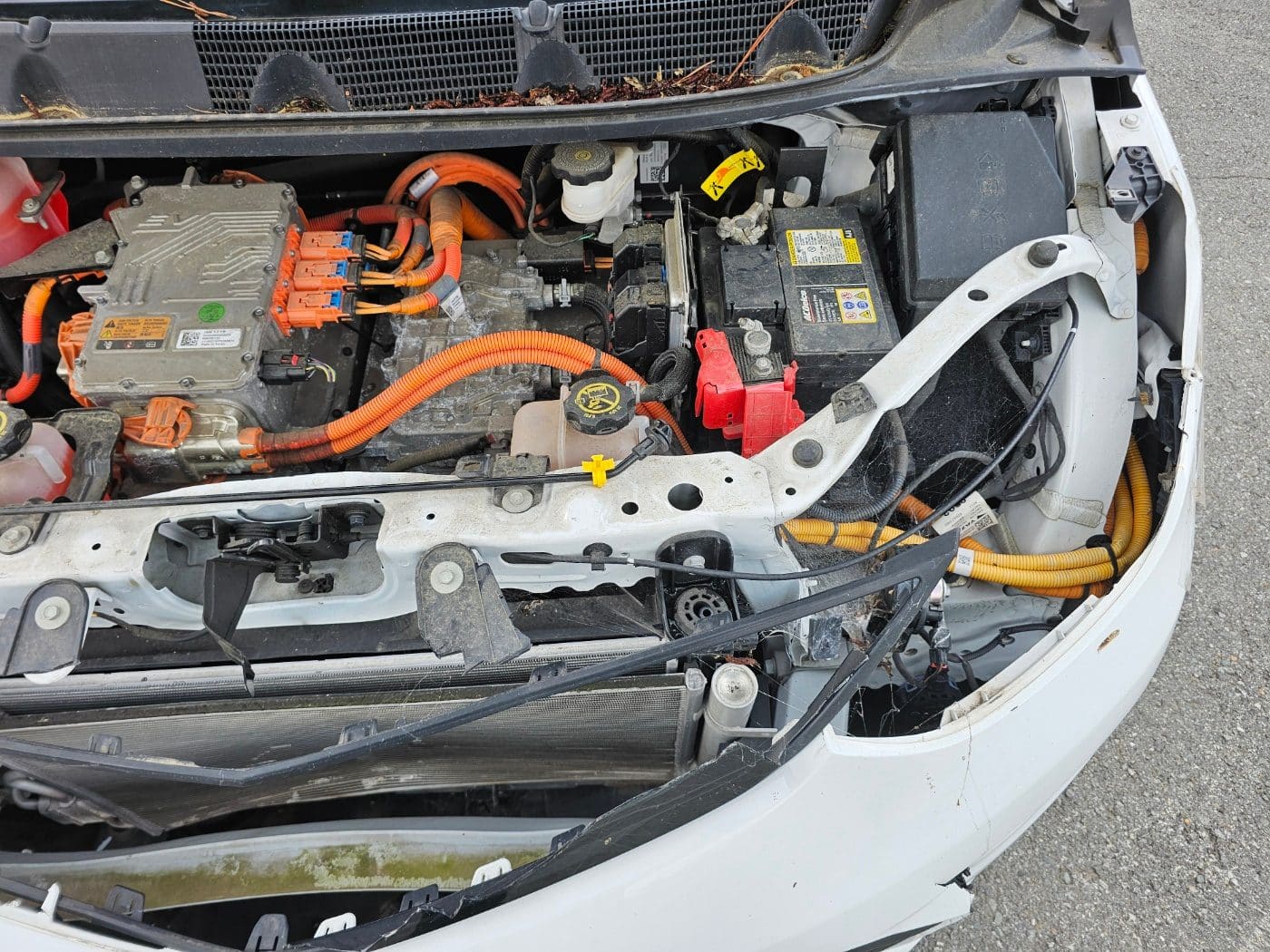 2019 Chevrolet Bolt EV LT (S/N: 128845) 20