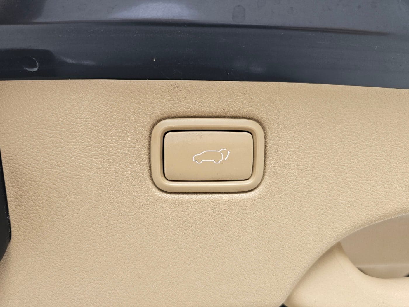 2020 Kia The New Carnival Gasoline (S/N: 666424) 17