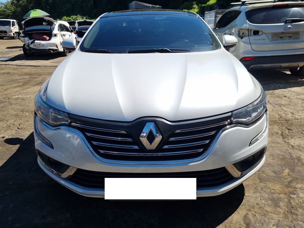 2016 Renault SM6 Gasoline 2.0 GDe (001472) pre-producted