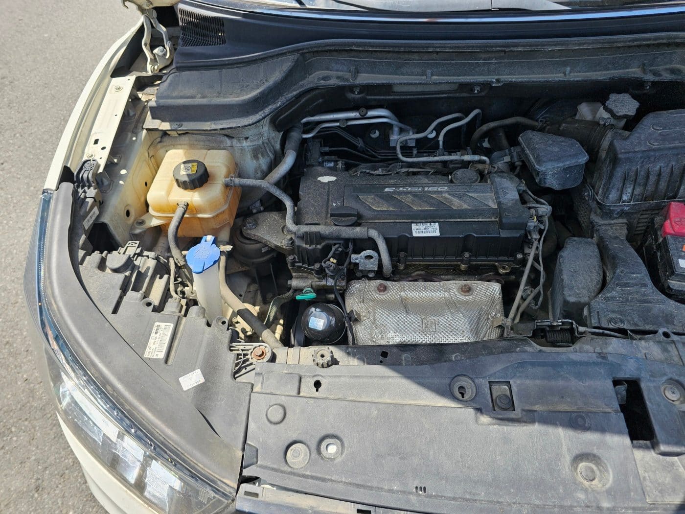 2016 KGM Tivoli Gasoline 2WD 1.6 (S/N: 036953) 14