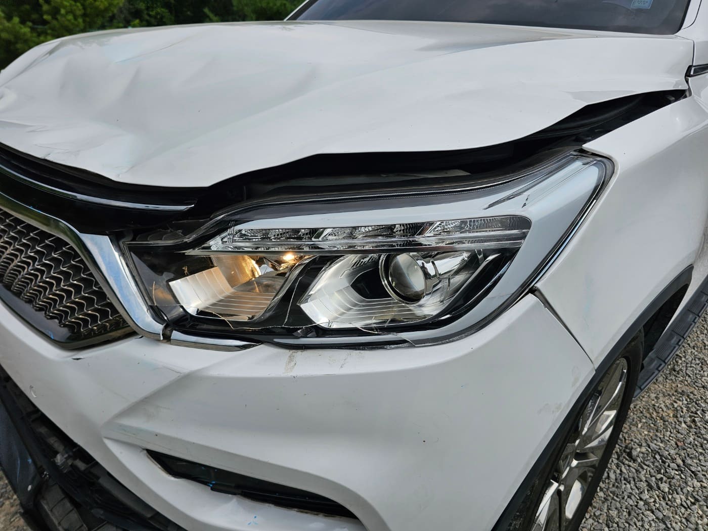 2019 SsangYong G4 Rexton Diesel 2.2 2WD 8