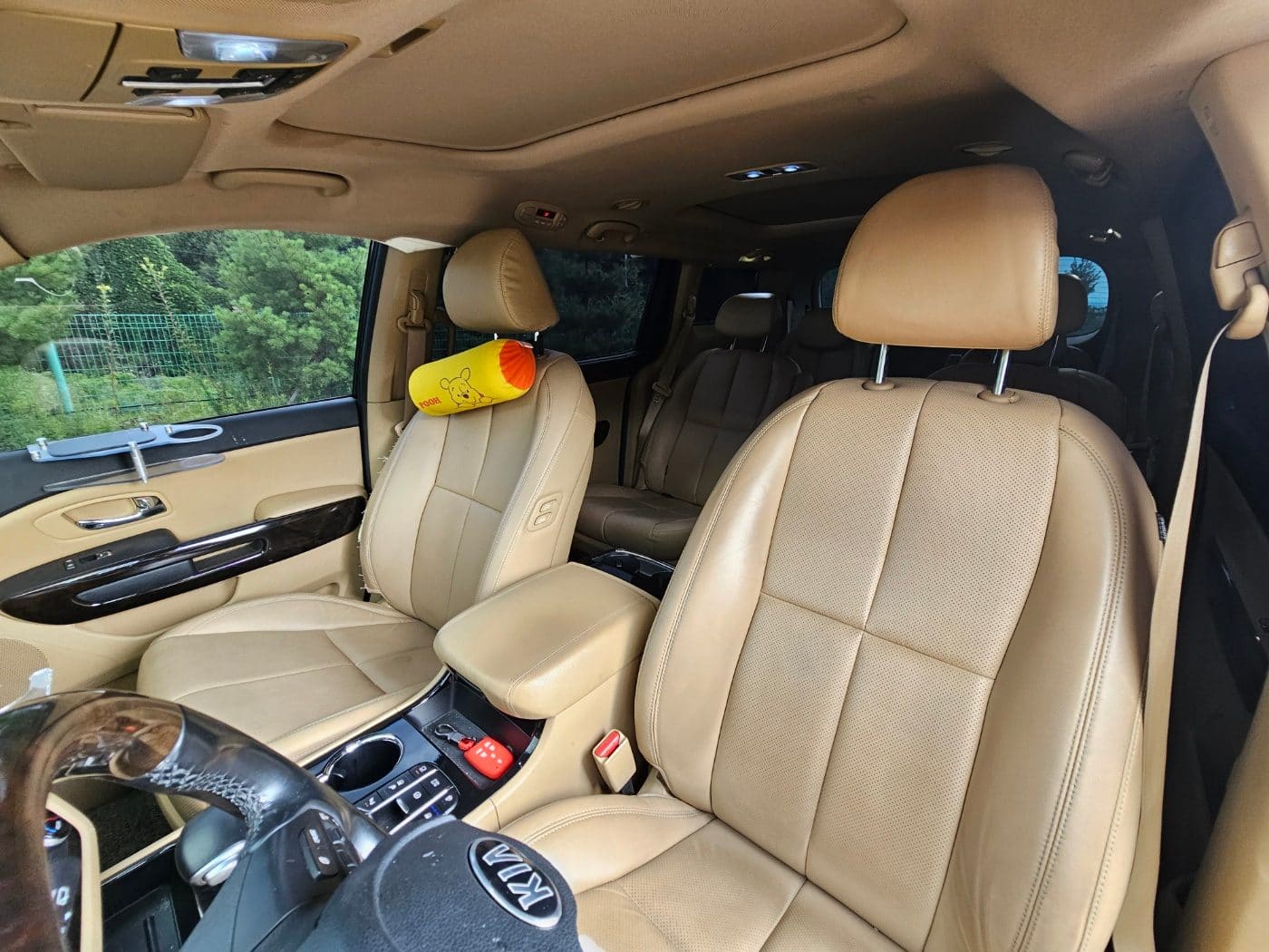 2020 Kia The New Carnival Gasoline (S/N: 666424) 53