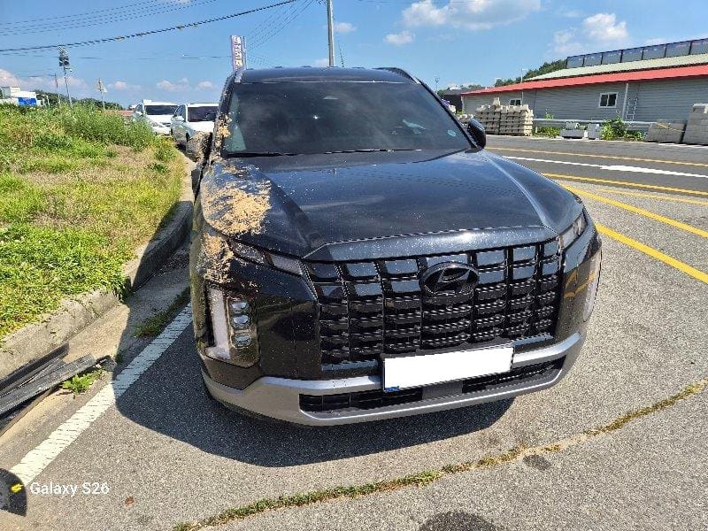 2023 Hyundai The New Palisade Gasoline 3.8 4WD (581522) pre-producted