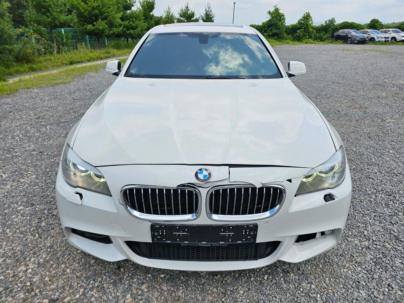 2013 BMW  5 Series (F10) 520d (S/N: Y57947) 2