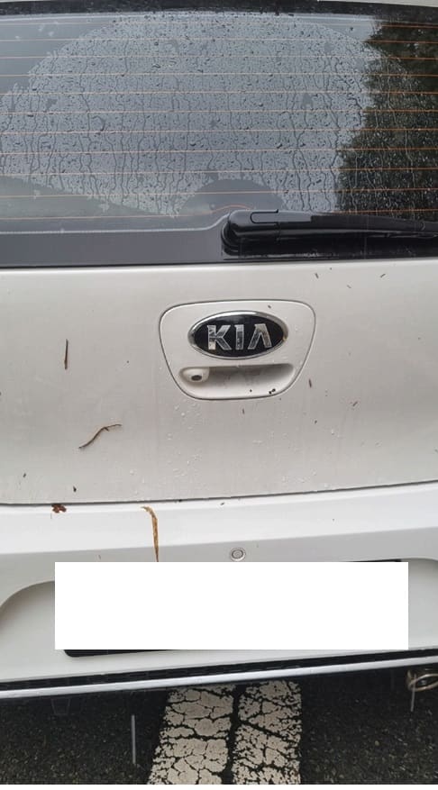 2017 Kia All New Morning (183332) pre-producted