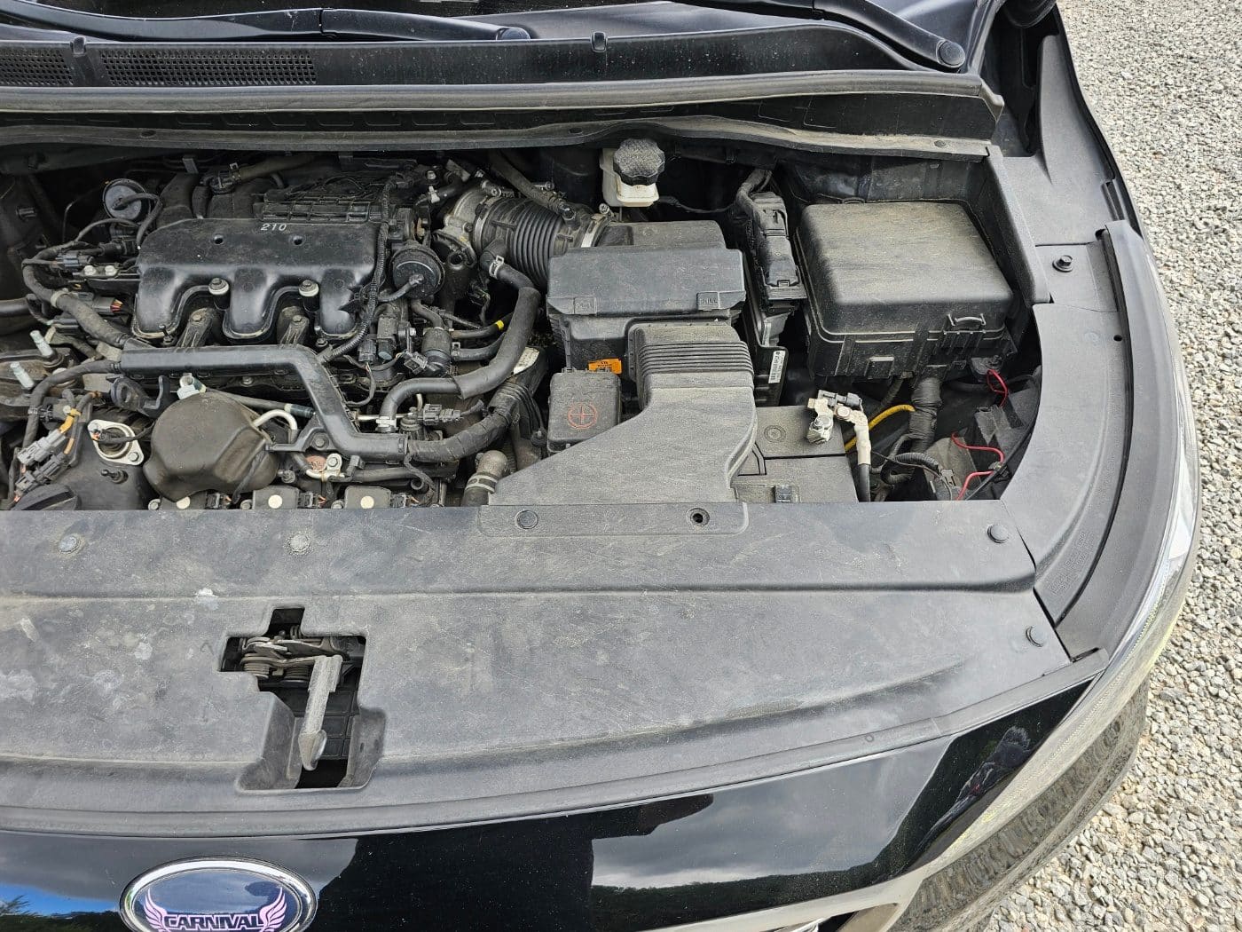 2020 Kia The New Carnival Gasoline (S/N: 666424) 29