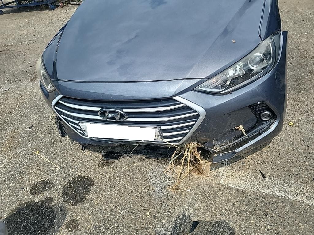2017 Hyundai Avante AD 1.6 GDI (269818) pre-producted