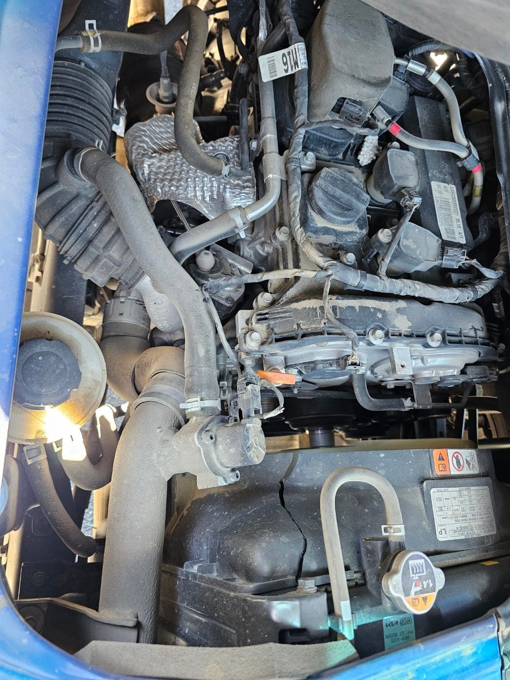 2025 Kia 2025 The New Bongo 3 1.2-ton King Cab GLS (S/N: 885085) 16